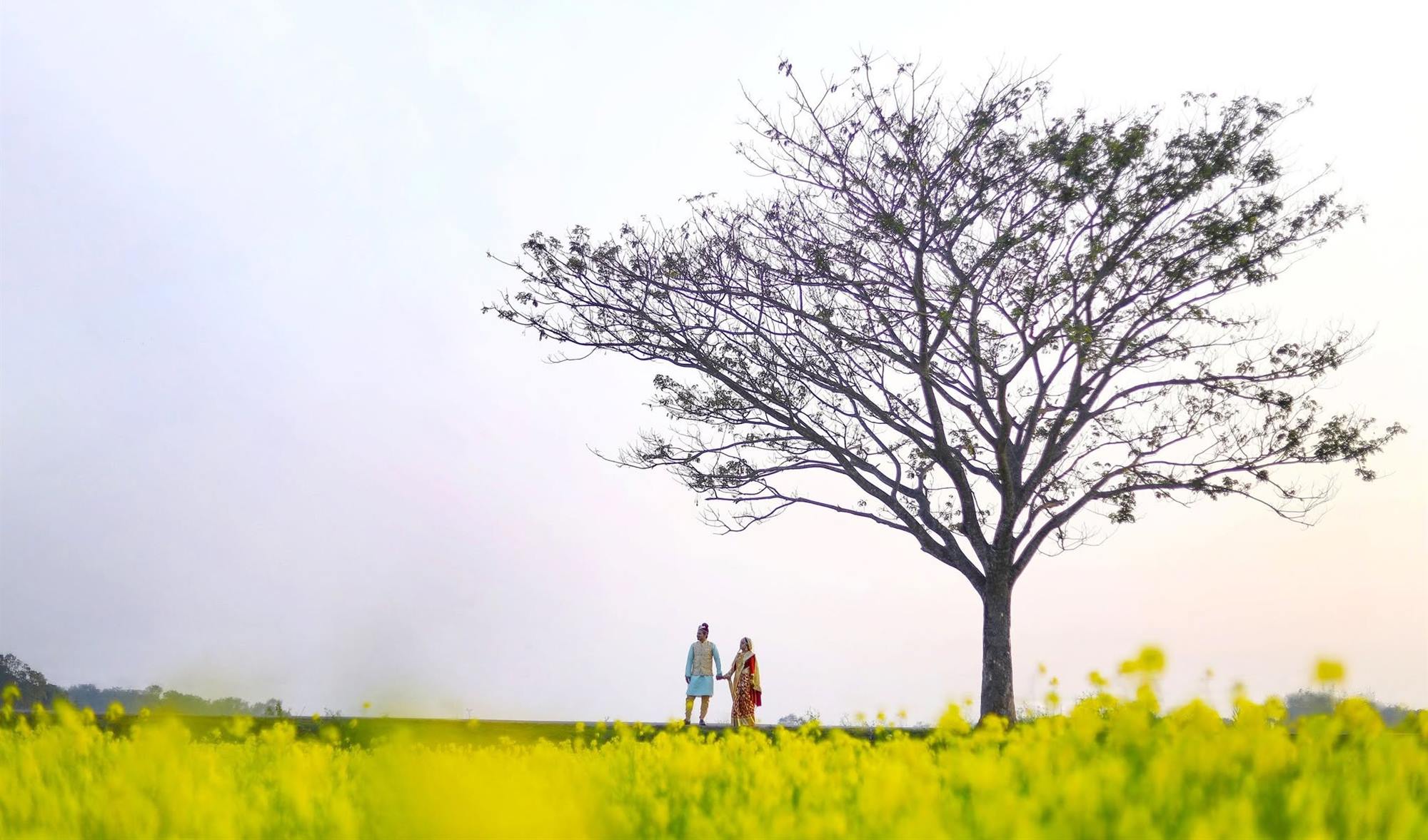 সরিষা ক্ষেতে হাঁটছেন বর-কনে, Dream Weave-এর তোলা ছবি